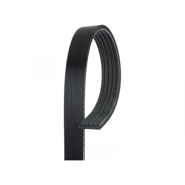 V-Ribbed Belt Rover 90-99 image