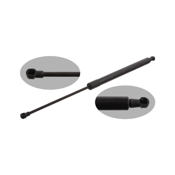 GAS SPRING REAR RENA SCENIC 09-20 image