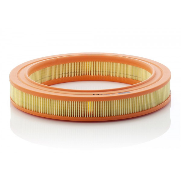 Air Filter Rover 93-95 image