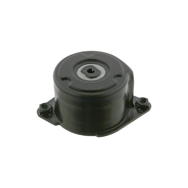 Belt Tensioner - V-Ribbed Belt BMW 01-13 image