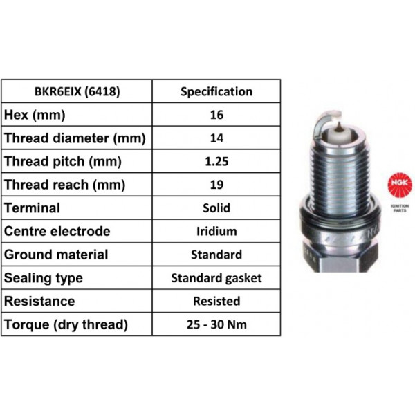 Spark Plug BMW Citroen Dacia Fiat Mitsubishi Nissan Peugeot image