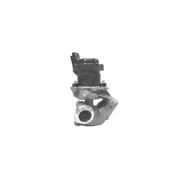EGR Valve Citroen Ford Mazda Peugeot Toyota 01-17 image