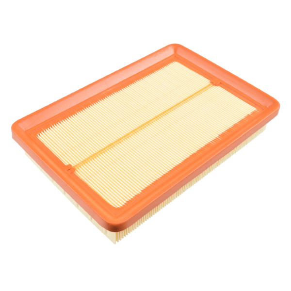 Air Filter Hyundai Kia 00-09 image