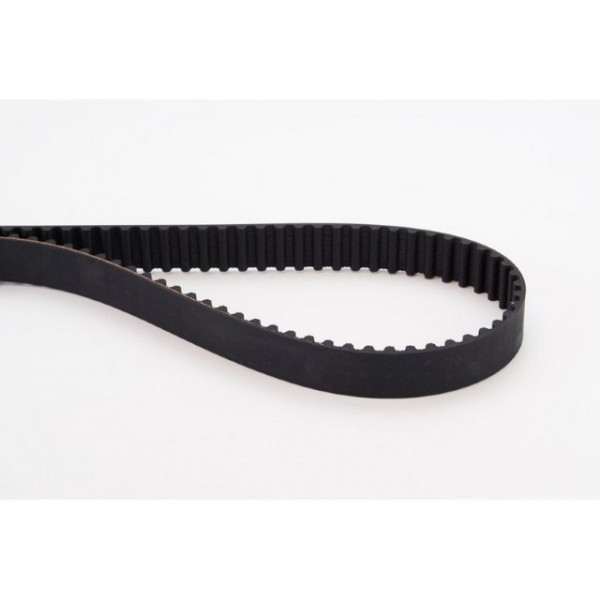 CAM BELT PEUG 406 20 00-04 image