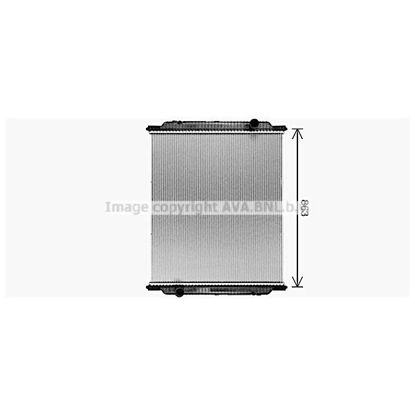 RAD LIONS CITRY A66 09-20 image