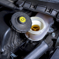 Category image for Brake & Clutch Fluid