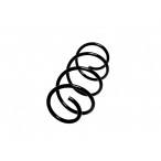 Image for Coil Spring To Suit Nissan