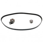 Image for Car Spares P99K015500XS - Belt Chain Kit Tensioner - See Product Details