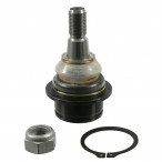 Image for FD-BJ-0814 - Ball Joint Lower - To Suit Ford