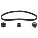 Image for Car Spares P99K025302XS - Belt Chain Kit Tensioner - See Product Details
