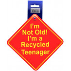 Image for Castle Promotions DH74 - Recycled Teenager Hanger