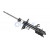 Image for Shock Absorber (Gas Filled) Front Right For Nissan