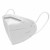 Image for Parismaid FACEMASKKN95S KN95 Face Mask