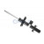 Image for Shock Absorber (Gas Filled) Rear Right For Land Rover
