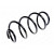 Image for Coil Spring To Suit Seat and Skoda and Volkswagen (VW)