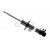 Image for Shock Absorber (Gas Filled) Front Right For Fiat