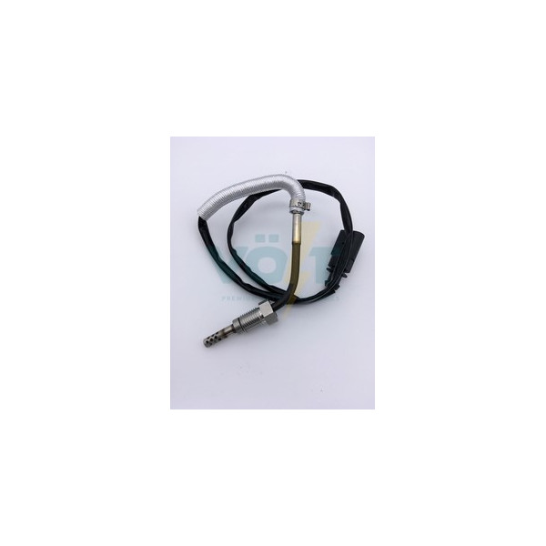 Exhaust Gas Temperature Sensor to suit Audi and Citroen and Seat and Skoda and Volkswagen image