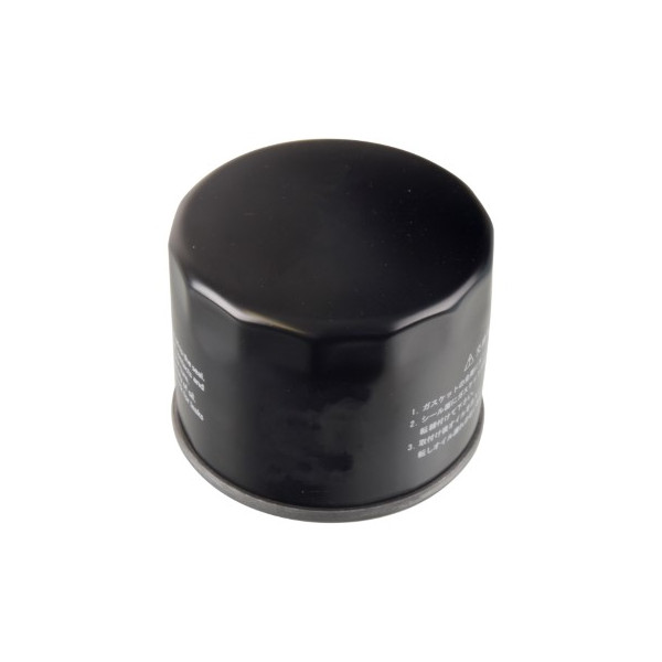 Oil Filter To Suit Aston Martin and BMW and Chrysler and Ford and Isuzu and Seat and Volkswagen image