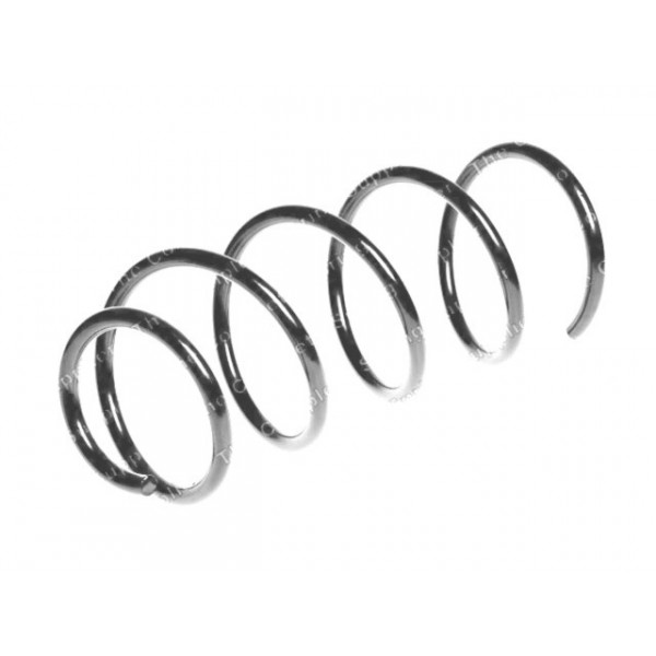 Coil Spring To Suit BMW image